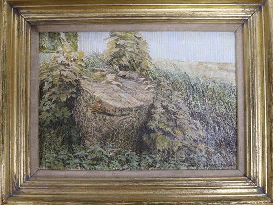 Maurice Sheppard RWS, oil on canvas, Tree stump, signed and dated 1978, 17 x 24cm